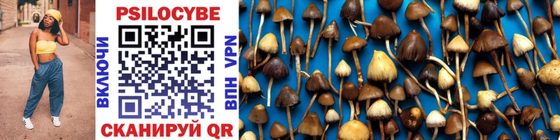 Псилоцибиновые грибы Magic Shrooms магазин продажи даркнет состав Ильский